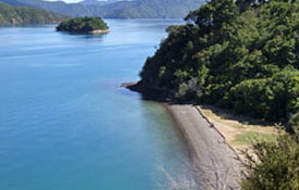 beautiful beaches of Picton