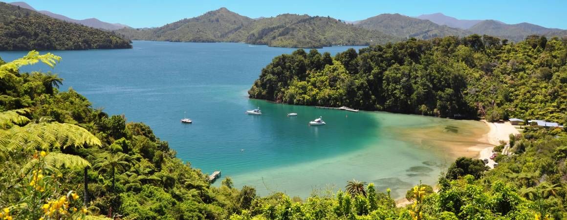 queen charlotte sound